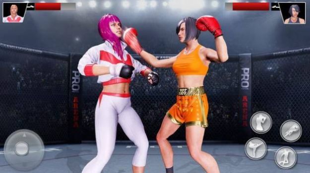 MMA擂臺拳擊格斗3D