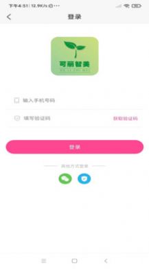 可麗智美