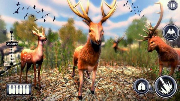 野生鹿獵人動(dòng)物狩獵