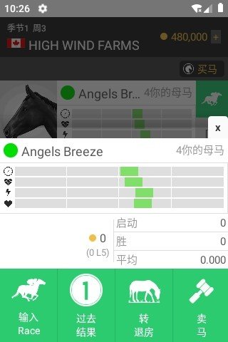 馬賽跑