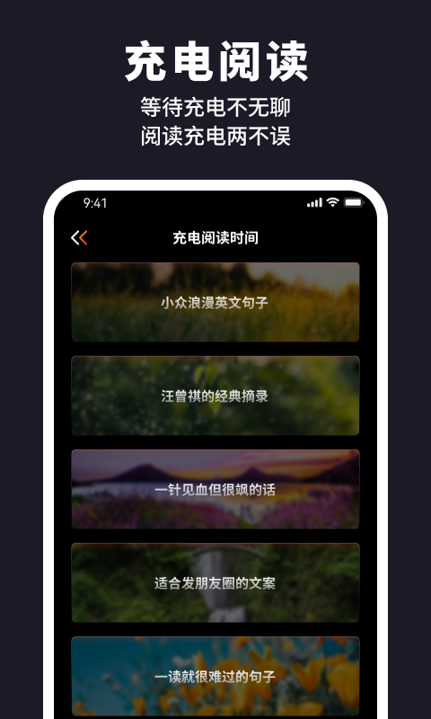 野馬充電