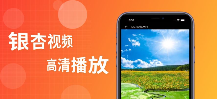 銀樹木視頻播放器