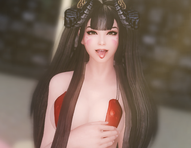 《上古卷軸5：天際重制版》布列塔尼女性角色預(yù)設(shè)MOD