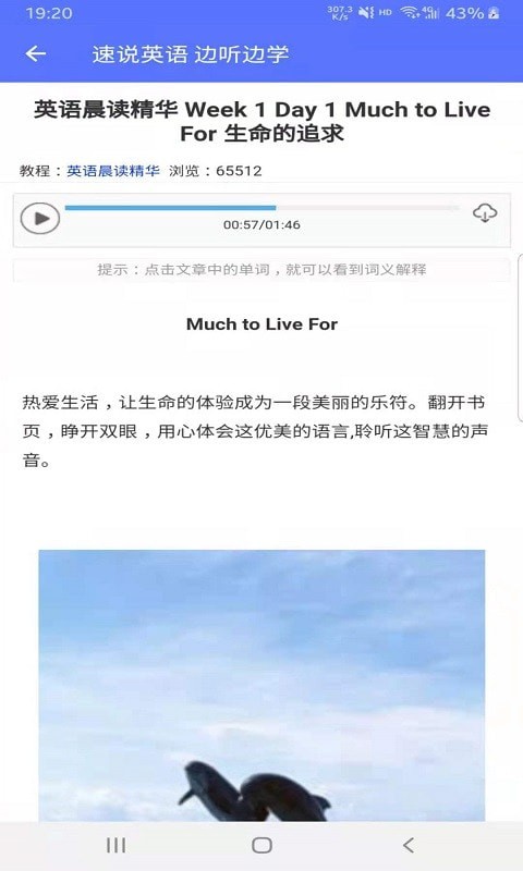 速說英語