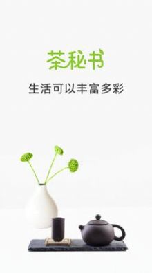 茶秘書