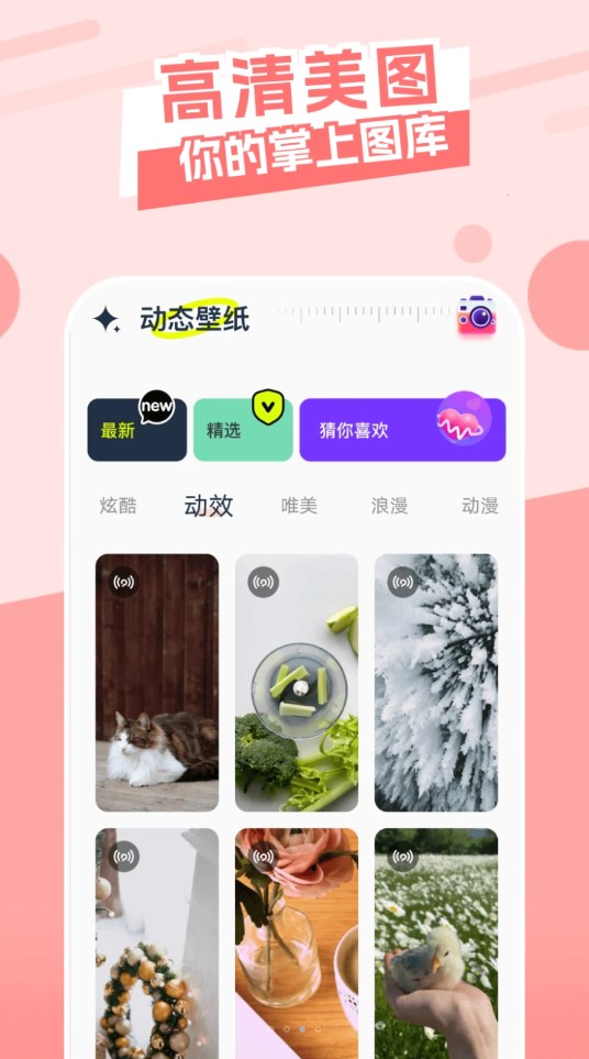 主題庫(kù)精靈