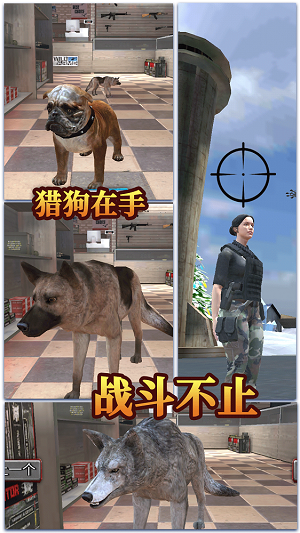 城市女俠英雄