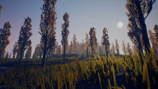 捉摸不定的世界