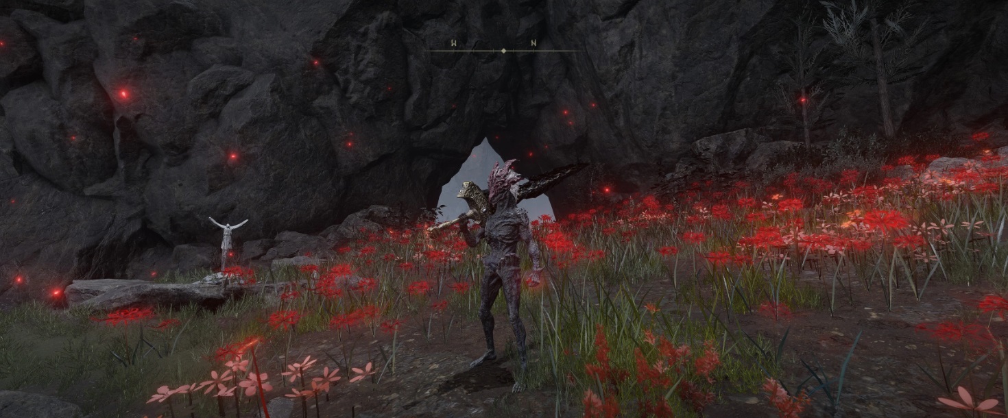 《艾爾登法環(huán)》龍形態(tài)沒有衣服MOD