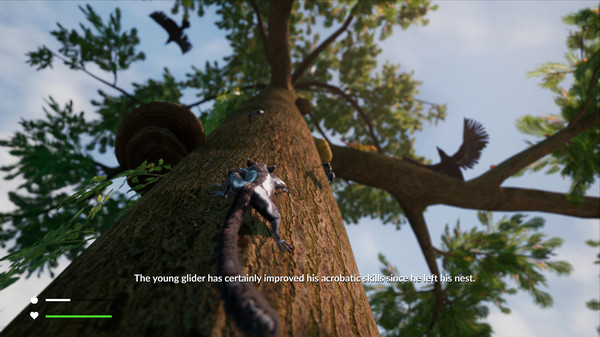 遙遠：生存系列