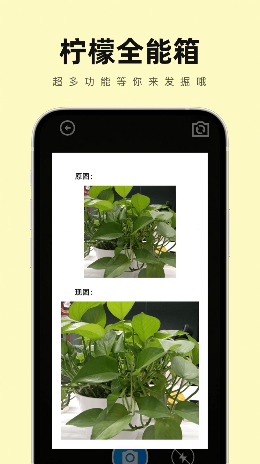 檸檬全能箱