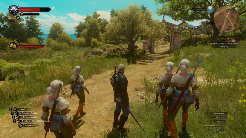 《巫師3次世代版》多人同伴MOD