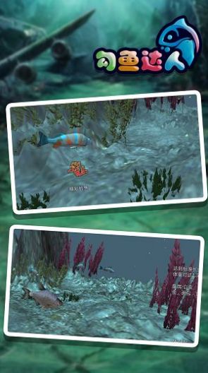 勾魚達人
