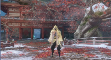 《只狼：影逝二度》金絲祥云服飾MOD