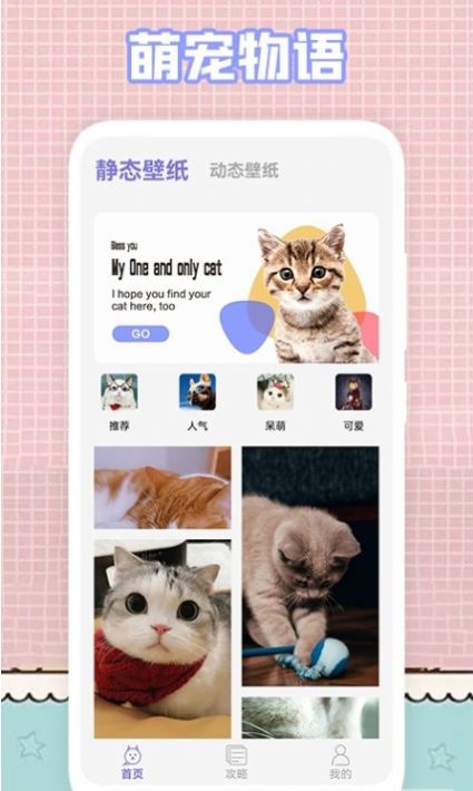 我的貓咪