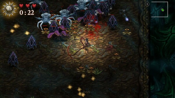 爭取光明：生存