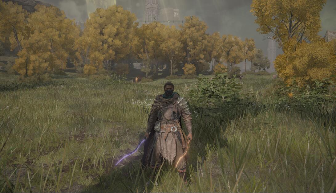 《艾爾登法環(huán)》黑魂3成對舞娘魔劍MOD