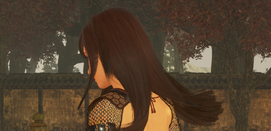 《仁王2》性感黑色比基尼MOD