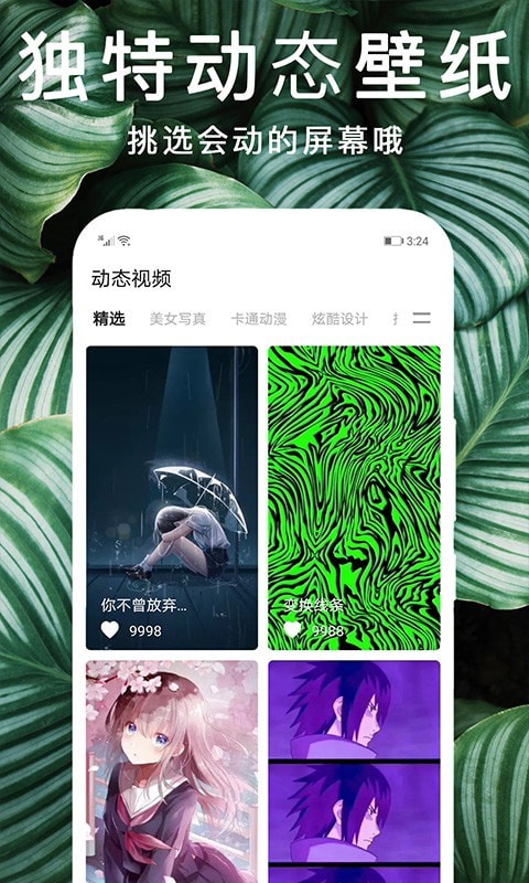 靈貓主題壁紙