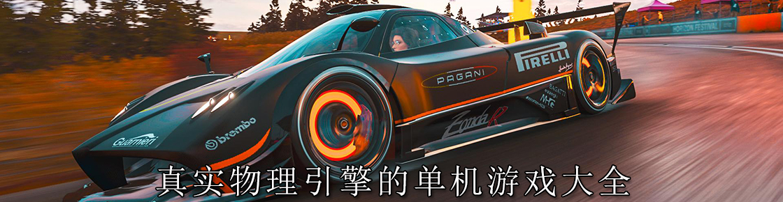 真實物理引擎的單機游戲大全