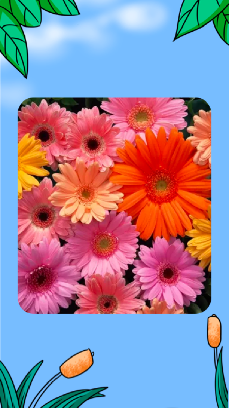 認識花