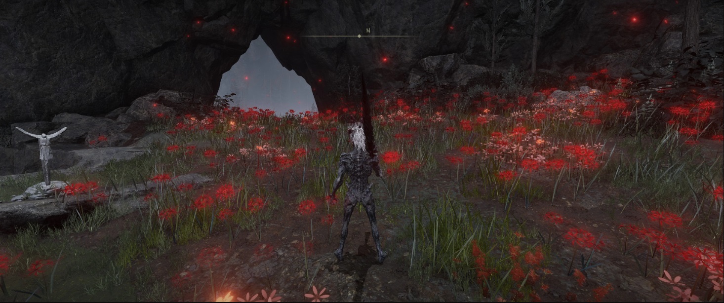 《艾爾登法環(huán)》龍形態(tài)沒有衣服MOD