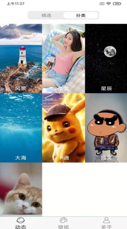 飛花動(dòng)態(tài)壁紙