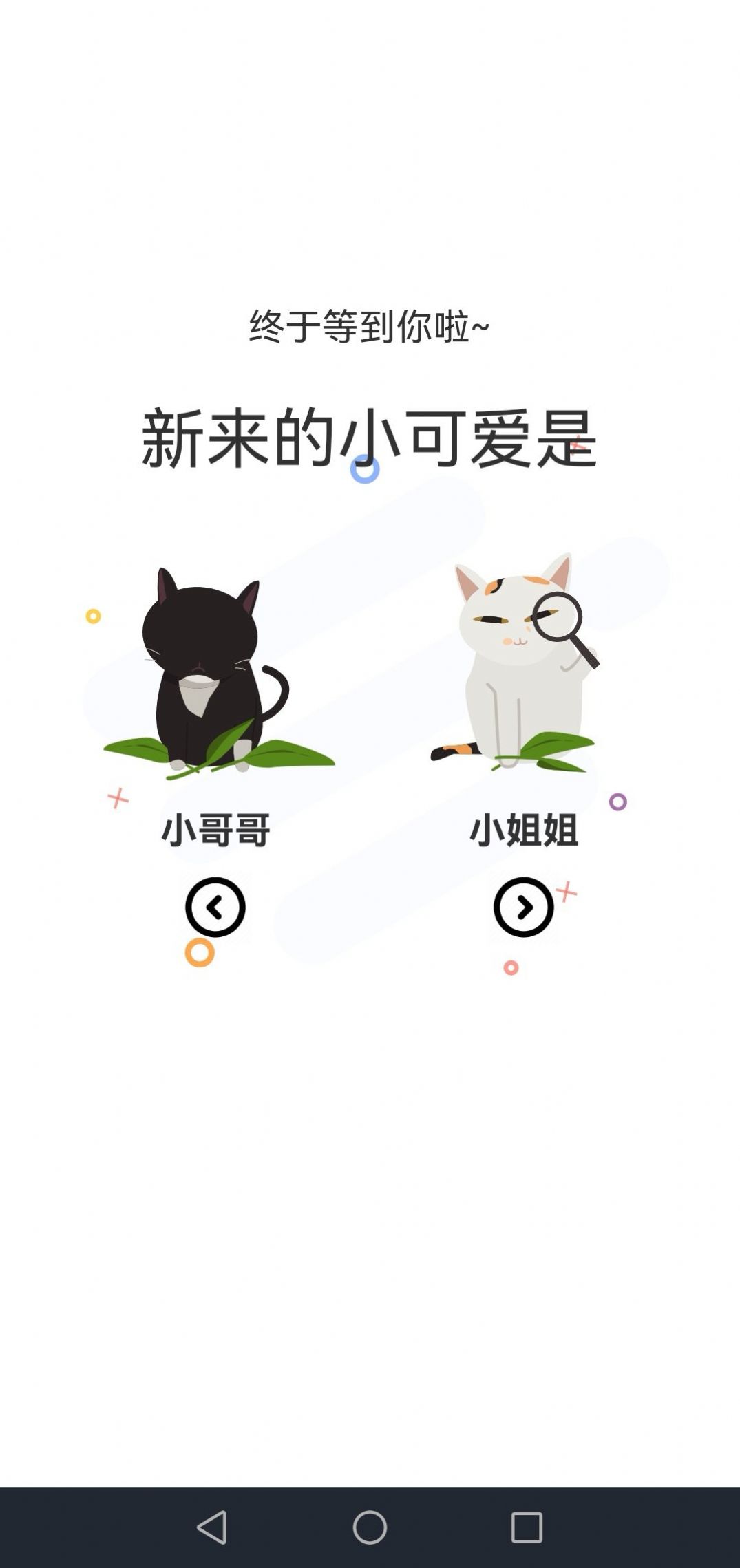 喵上動漫