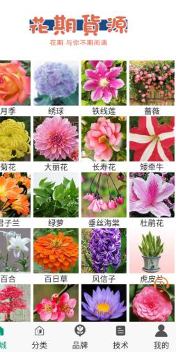 花期貨源