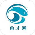 魚才網