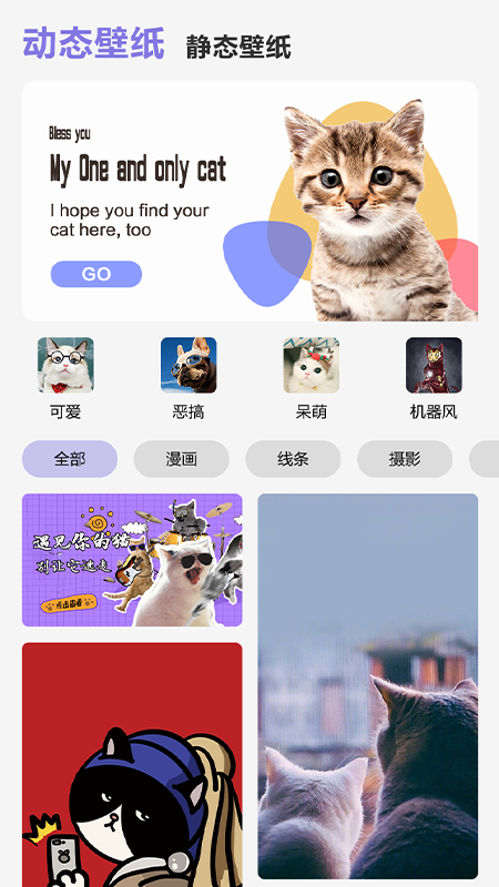 可愛喵喵壁紙大全
