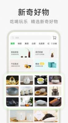 茶秘書