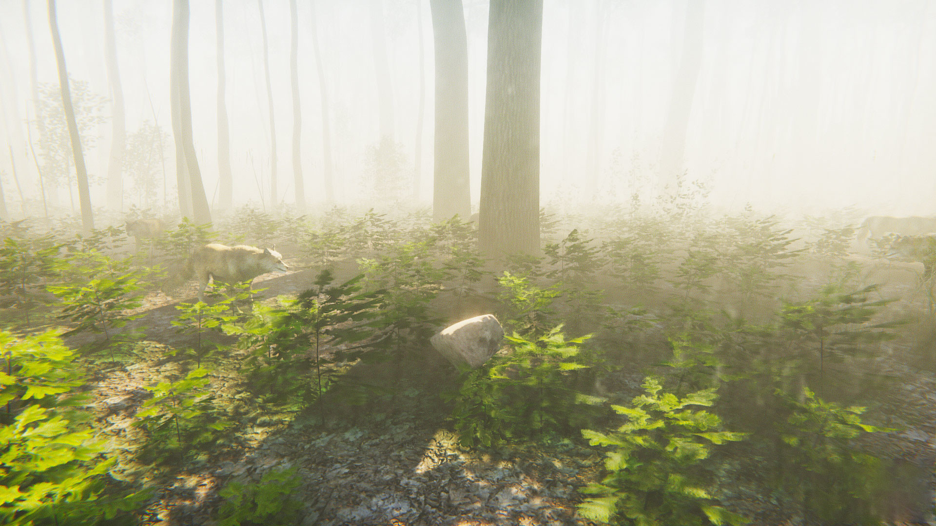 正念模擬器：ASMR冥想游戲