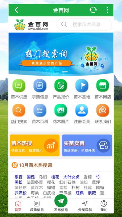 金苗網(wǎng)