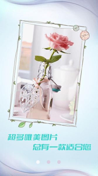小豬壁紙大全