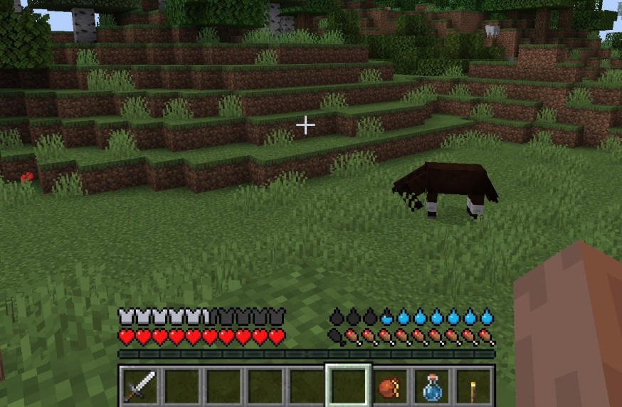《我的世界》1.16.5口渴機制MOD