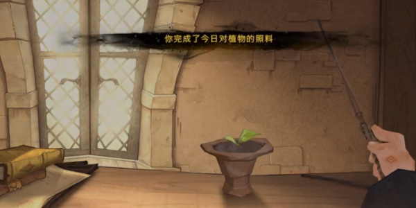 《哈利波特魔法覺醒》種植物流程一覽