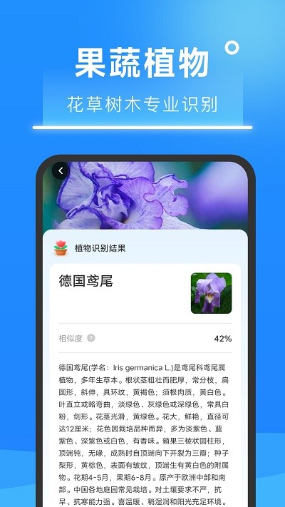 超速掃描大師