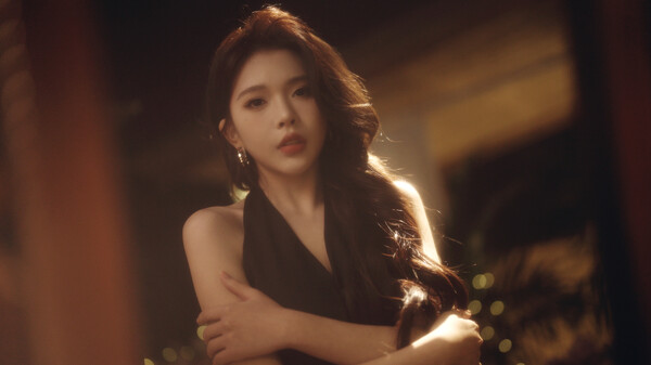 我和七個俏房客