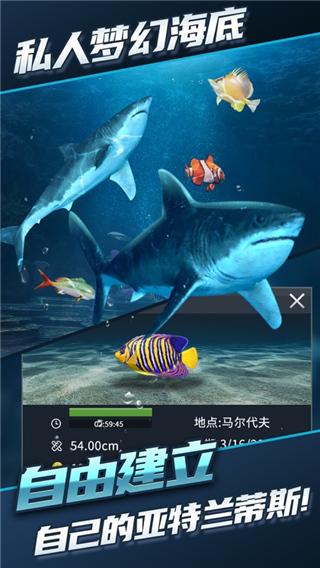 釣魚達(dá)人內(nèi)置MOD菜單版