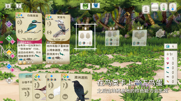 展翅翱翔：大洋洲篇