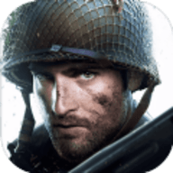 戰火勛章秘密行動