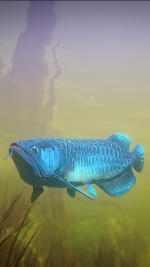 海底與獵殺