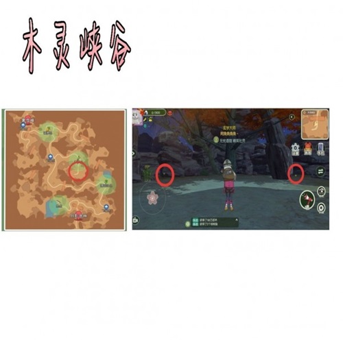 小森生活甲蟲怎么獲得3