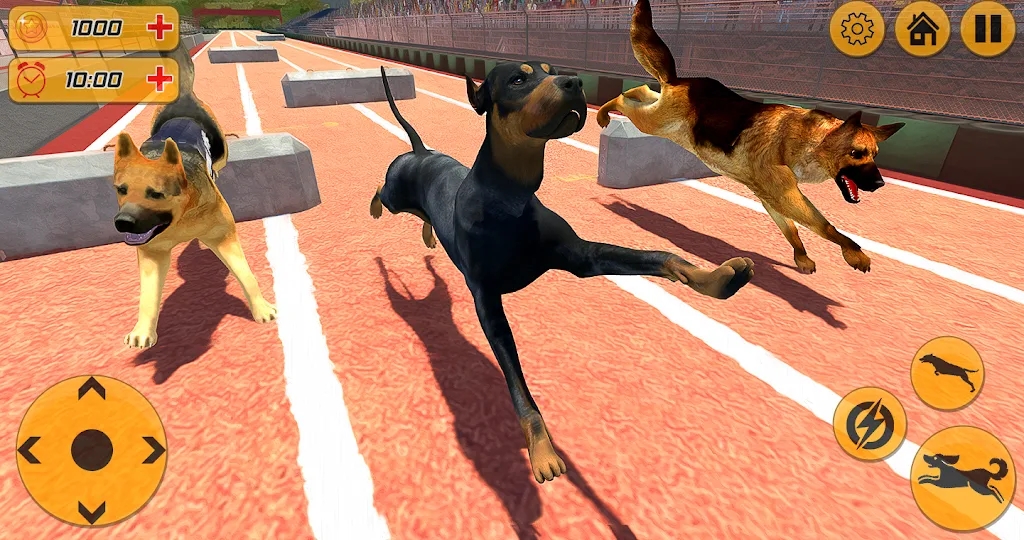 警犬跨欄沖刺