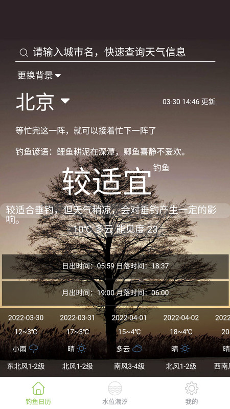 嘿嘿貓