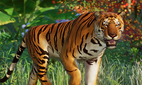 《動物園之星》增添新物種華南虎MOD[支持v1.13版]