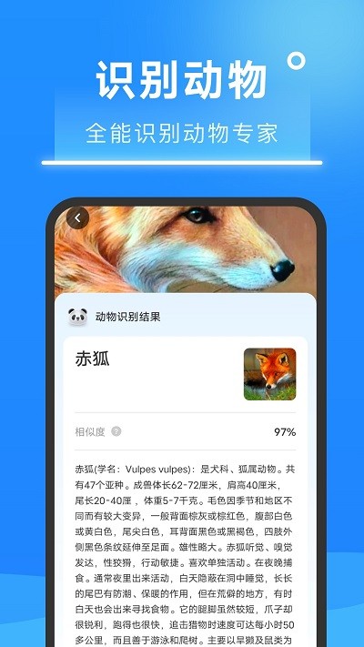 超速掃描大師