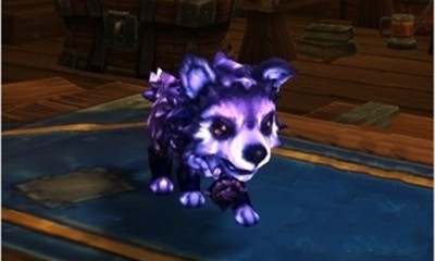 《魔獸世界》寵物迷路的虛空狼崽獲取攻略