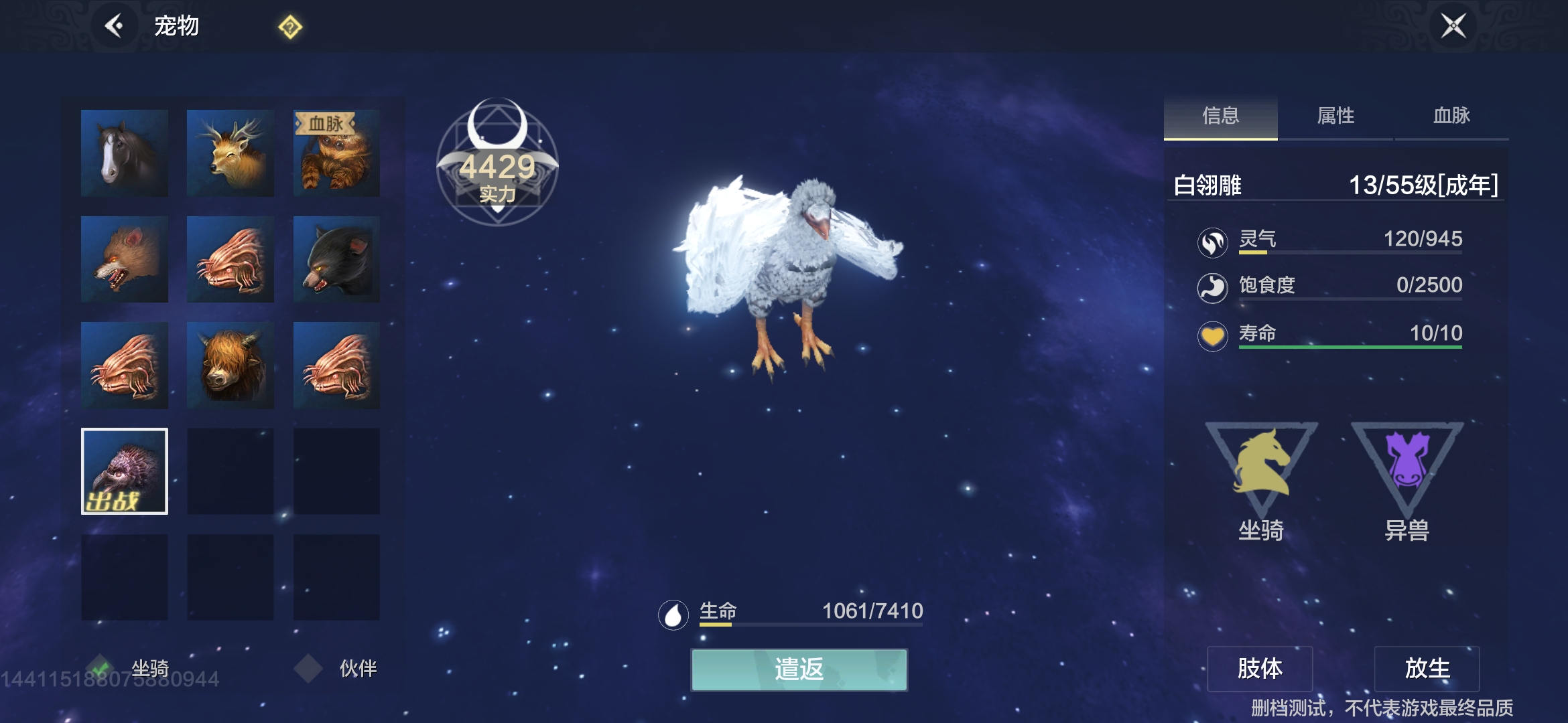 《妄想山?！窌?huì)飛的坐騎位置介紹